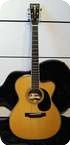 C.F. Martin Pegasus Steve Miller Signature