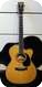 C.F. Martin Pegasus Steve Miller Signature