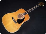 Martin D41 1979 Natural