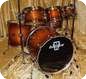 Ludwig Epic Mahogany Burst Bronze