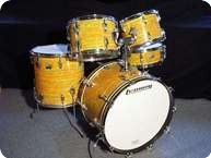 Ludwig Vintage Citrus