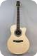 PRS Paul Reed Smith Angelus Acoustic VI Collection 2013