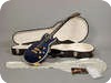 Gibson Les Paul Longhorn ** ON HOLD ** 2008-Trans Blue