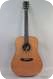 BSG D 10 F Dreadnought Mahogany Cedar 2013
