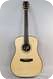 BSG D 37 F Style D 42 Dreadnought Amazon Rosewood Spruce 2013
