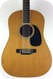 Martin D12 35 1974 Natural