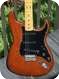 Fender Stratocaster 1977-See-Thru Walnut