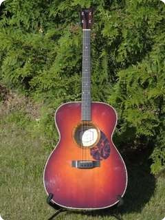 Rozawood Tenor Guitar 2012 Nitrocellulose Lacquer