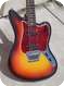 Fender 12 String 1966-Sunburst Finish