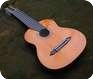 Sandner 10 String 2013