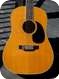 Martin D 12 35 1970 Natural