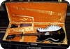 Godwin Guitorgan Guitar Synt 1976