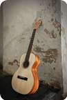 Loef Guitars VIRO