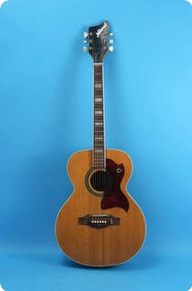 National Acoustic 1968 Natural