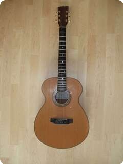 Jan Zonjee Gitaren Lcs 14 2009 Nitro Lacquer