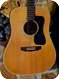 Guild D 50 1974 Natural