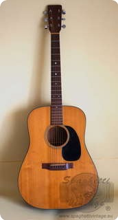 Martin D 18 D18 D 18 1979