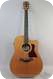 Taylor 710CE, Cedar-Rosewood 1999