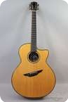 BROOK Tavy Fan Fret Rosewood Spruce