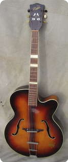 Arnold Hoyer Special 1959 Sunburst