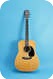 Martin D 76 Commemorative Bicentennial 1976