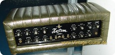 Kustom K 200 Amp 1969 Gold sparkle Vinyl Polster