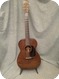 Martin 0017 1934 Mahogany Nature