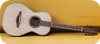 Rob Van Leuven Parlour Bouzouki - Made To Order 2014