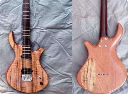 Pmc Guitars Blast Fly 2014 Natural