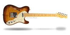 Fender Telecaster Select Thinline 2013