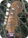 Fender Coronado Wildwood II 1967 Wildwood
