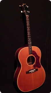 Gibson Tg 25n 1964