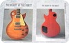 Japanese New Guitar Book The Beauty Of The Burst 2014