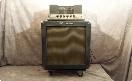 Ampeg B15nf 1965 Blue Checked Tolex