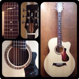 Jan Zonjee Gitaren Jm Series 12fret Cw 2013 Danish Oil