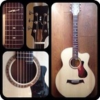 Jan Zonjee Gitaren JM series 12fret CW 2013 Danish Oil