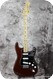Fender Stratocaster 1976-Mocha