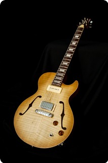 Fibenare Guitars Rahan Ii Hollow 2014