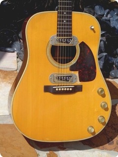 Martin D 28e 1963 Brazilian