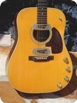 Martin D 28E 1963 Brazilian