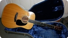 Martin D 35 1971