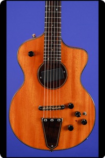 Rick Turner Model 1 Lindsey Buckingham (#1536) 2012 Mahogany