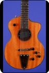 Rick Turner Model 1 Lindsey Buckingham 1536 2012 Mahogany