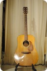 Martin D25 Koa 1980 Natural