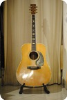 Martin D41 1973 Natural