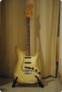 Fender Stratocaster Antigua 1978 Antigua