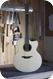 Luis Guerrero Guitars J Series Cutaway 2014