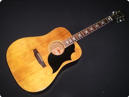 Gibson Sj 1974 Natural