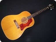 Gibson J50 1967 Natural