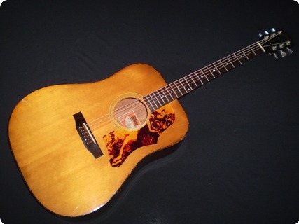 Gibson J55 1975 Natural